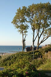 Haus an der Ostsee in&nbsp;Ahrenshoop